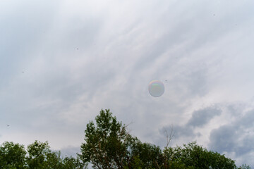 Soap bubble on the background of an overcast sky.