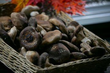 Japanese Shiitake mushrooms cooked tomato sauce at a street food stand in Tokyo.