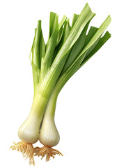 Onions isolated on transparent background PNG.