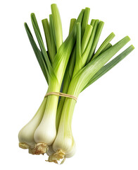 leek isolated on transparent background PNG.