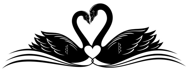 silhouette of a swan © Is