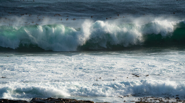 View of big waves and rough sea at Cape of Good Hope peninsula, Western Cape, Cape Peninsula, South Africa.