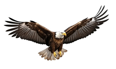 American Eagle is flying gracefully isolated on transparent background