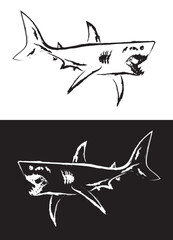 Hand drawn shark with open mouth - 677672763