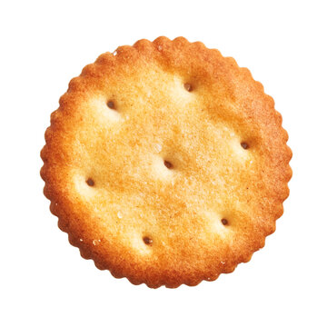  Delicious single salty biscuit over isolated white background