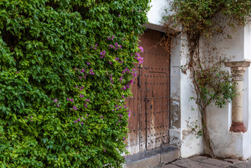 Fototapeta na wymiar Ancient door surrounded by plants and an ancient pillar in the Jewish quarter of Cordoba, Andalucia.