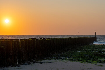 Obraz premium Sunset over the algae-covered pile heads near Westkapelle, Netherlands