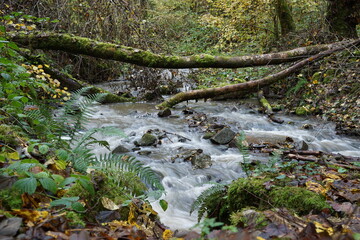 Wasserfall im Wald Saarland lange belichtungszeit