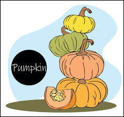 Stack of orange pumpkins vector illustration. symbol of harvest, holiday, Halloween. Pyramid made of four pumpkins arranged.