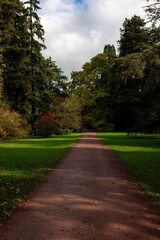 Fototapeta na wymiar footpath in the park England
