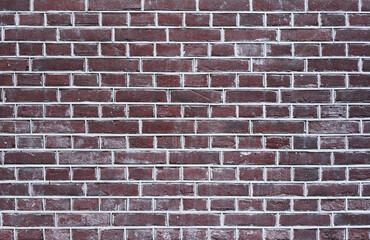 Obraz premium Texture of a brick wall
