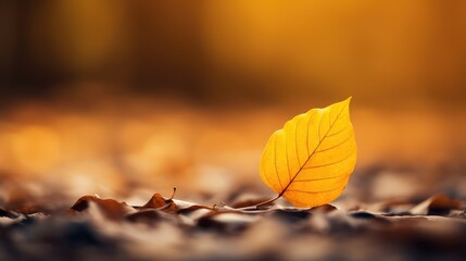 texture yellow abstract composition macro illustration template spring, style modern, flower cover texture yellow abstract composition macro