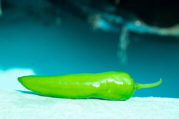 Green hot chili pepper on a blue background. Selective focus.