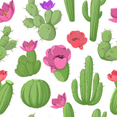 Cactus with flowers, seamless pattert. vector color illustrations