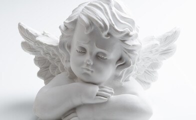 angel with wings on white