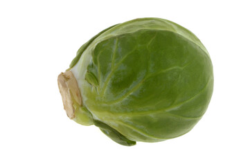 Chou de Bruxelles crus en gros plan sur fond blanc