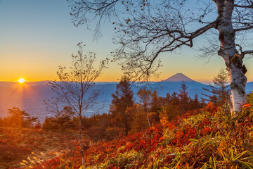 Fototapeta premium 秋の甘利山から朝日を浴びる富士山