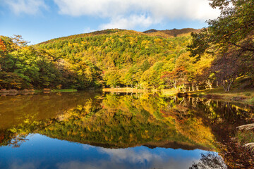 さわら池に映る紅葉の甘利山