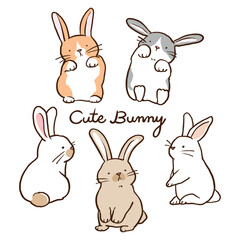 Vector Illustration of Cute Cartoon Bunny Characters on Isolated Background