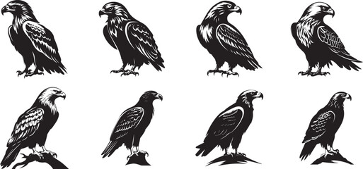 eagle vector illustration design, eagle sitting silhouettes, 8 eagles silhouettes set