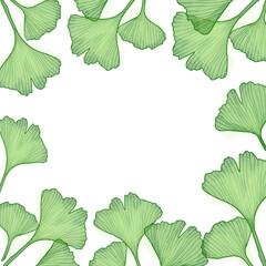 Ginkgo branch with leaves wreath frame, vector illustration for design