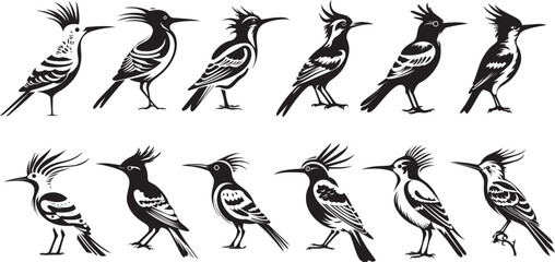 Hoopoe silhouette, set of Hoopoe silhouette birds isolated on white background