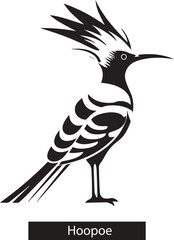 Fototapeta premium Hoopoe silhouette, hoopoe silhouette birds, vector file