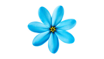 Fototapeta premium blue flower isolated on transparent background cutout