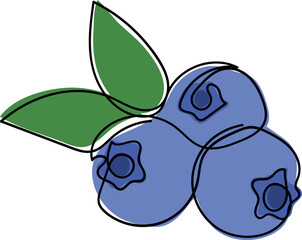 Blueberry line art illustration