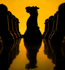 A chess knight with a silhouette with visible reflection  © Pratik