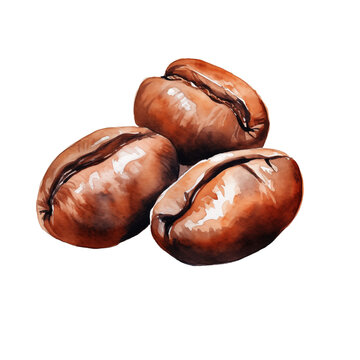 Coffee beans watercolor isolated transparent, Generative AI