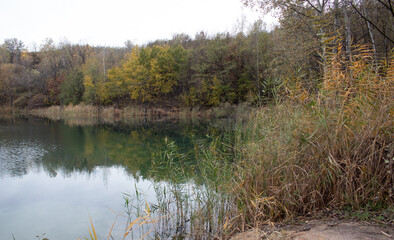 Beautiful view of the lake in autumn. Golden yellow leaves on trees.