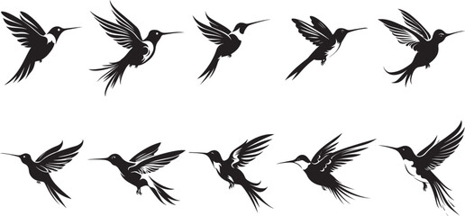 set of birds , Set of hummingbird silhouettes, black and white © Muhammad