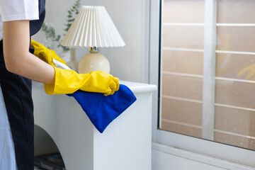 Young woman wearing an apron is cleaning furniture and household appliances.