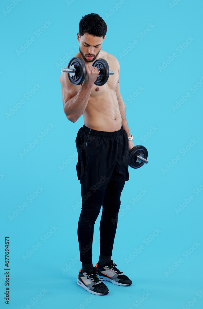 Poster Fitness, dumbbells and man flex in studio for training, exercise or bodybuilding on blue background. Health, wellness or topless bodybuilder with bicep workout, muscle or body, progress or resilience