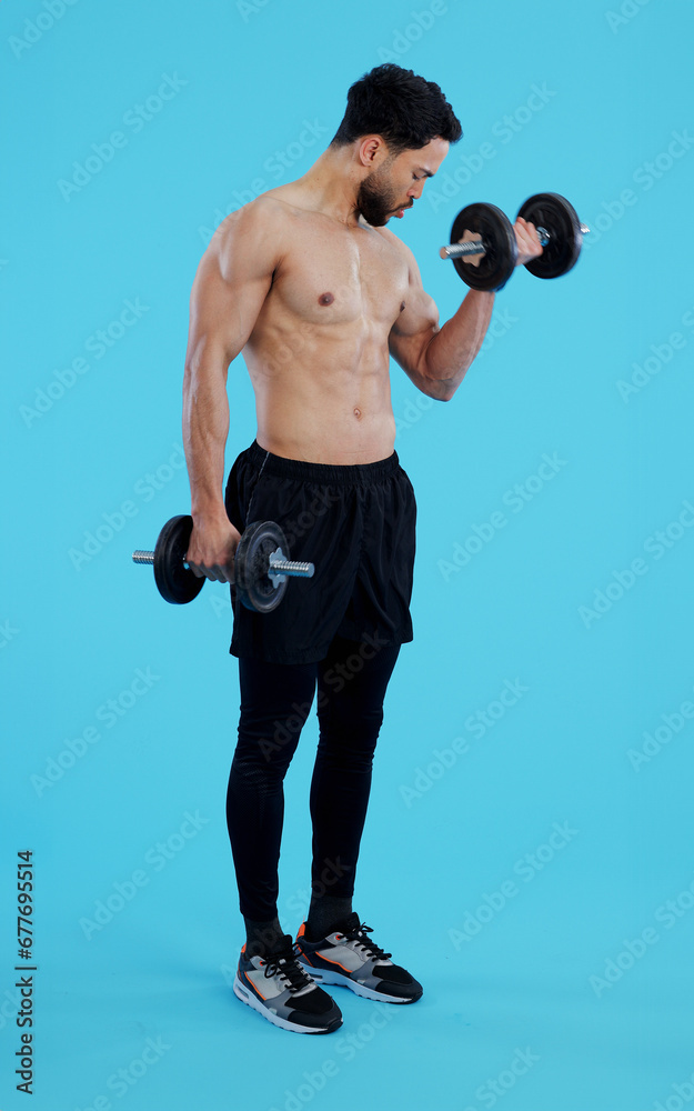 Wall mural Fitness, dumbbells and man in studio for training, exercise or bodybuilding on blue background. Health, wellness and topless guy bodybuilder with bicep workout, muscle or flex, progress or resilience