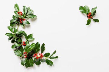 Holly leaves with red berries on white background.