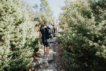 Obraz premium Group Hiking in the Wilderness, Exploring Natural Landscapes on a Sunny Day