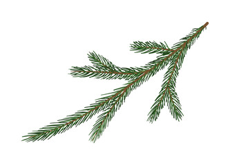 Pine branch concept. Part of Christmas tree. Forest and wildlife, flora. Nature and ecosystem. Symbol of holidays and festivals. Cartoon flat vector illustration isolated on white background