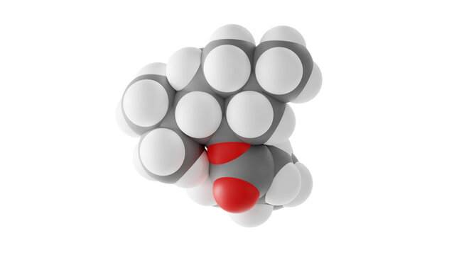 menthyl isovalerate molecule, validolum, molecular structure, isolated 3d model van der Waals