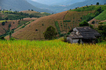 Karen village atop a high mountain in Thailand Do farming in the mountains 
