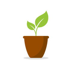 Pot with plant icon vector. Plant icon vector illustration