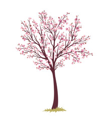 Sakura pink branch concept. Part of tree and plant. Japanese and asian garden. Flora and nature. Spring and summer season. Cartoon flat vector illustration isolated on white background