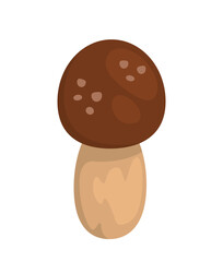 Fresh mushroom concept. Natural and organic food. Harvest and crop in autumn and fall season. Healthy food. Poster or banner. Cartoon flat vector illustration isolated on white background