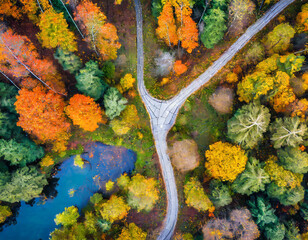 Abstract colorful above drone view of path in the middle of picturesque autumn forest on digital art concept, Generative AI.