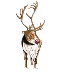 Rodolphe Rennes No&euml;l Christmas