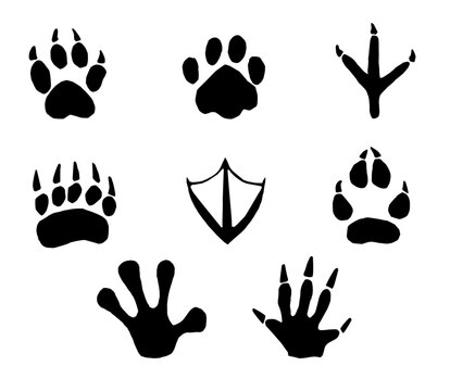 footprints of various animals drawn in black