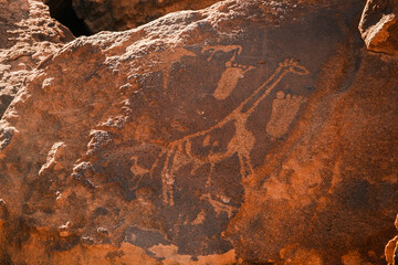 Rock art engravings at Twyfelfontein, Kunene, Namibia.  These engravings are the authentic work of San hunter-gatherers who lived in the region between 6000 and 2000 year ago. - obrazy, fototapety, plakaty