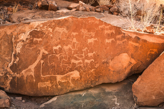 Prehistoric rock art engravings at Twyfelfontein, Kunene, Namibia, including the famous Lion Man with human toes and a pugmark at the tip of its long tail.