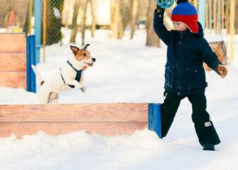 How to train a dog to jump a hurdle